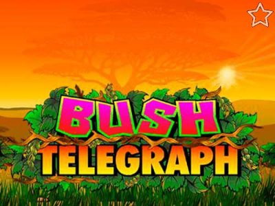 Bush Telegraph